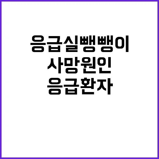 응급실 뺑뺑이 응급환자 사망 원인 파악 실패