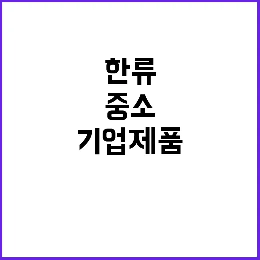 한류 중소기업 제품…