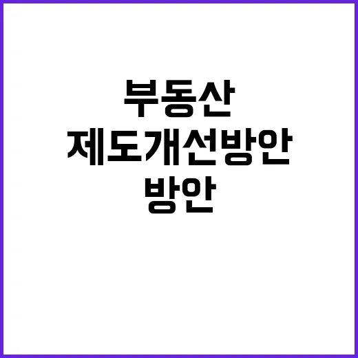 부동산 제도개선 방…