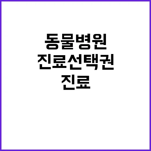 동물병원 비용 공개 진료 선택권 크게 증가!