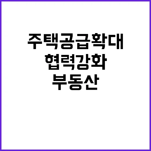 부동산 TF회의 주…