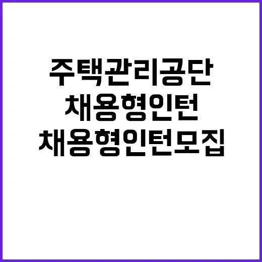 채용형 인턴 채용공고(주택관리공단 본사)