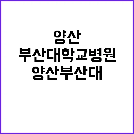 부산대학교병원 비정…