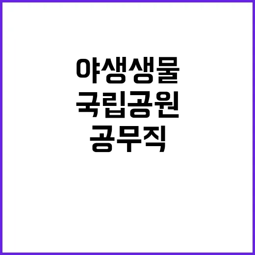 국립공원공단 무기계…