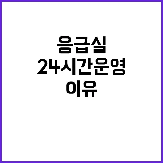 응급실 안정성 24…