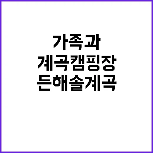 든해솔 계곡캠핑장 …