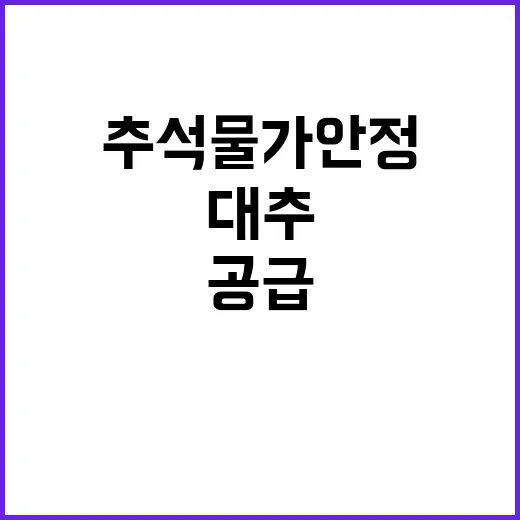 추석 물가 안정 대추 294톤 공급 급증!