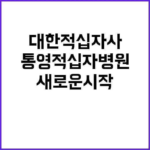 대한적십자사 비정규…