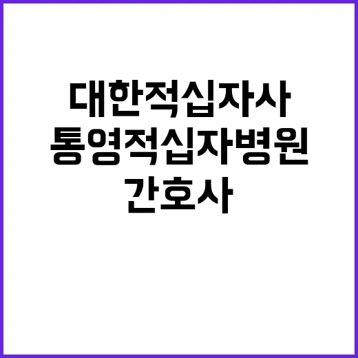 대한적십자사 비정규…