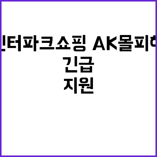 유동성 지원 인터파크쇼핑·AK몰 피해기업 긴급 구제!