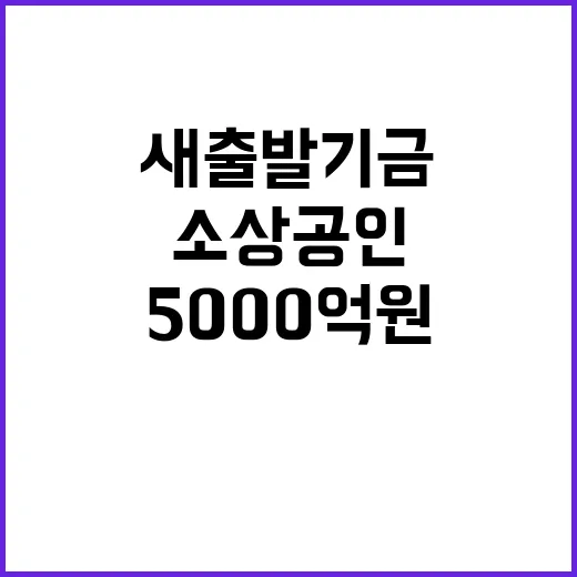 새출발기금 5000억 원 소상공인 희망 찾기!