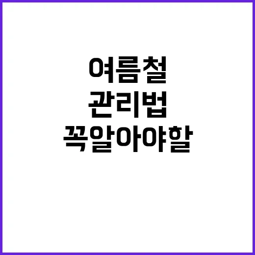 여름철 심뇌혈관질환 관리법 꼭 알아야 할 정보!