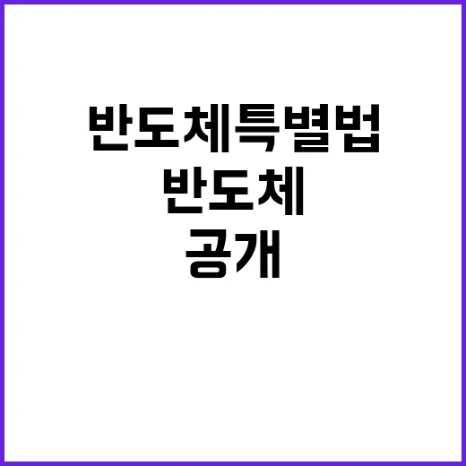 반도체 특별법 기재…