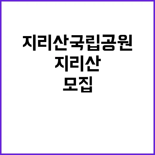 국립공원공단 비정규…