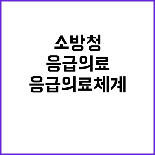 응급의료체계 소방청…