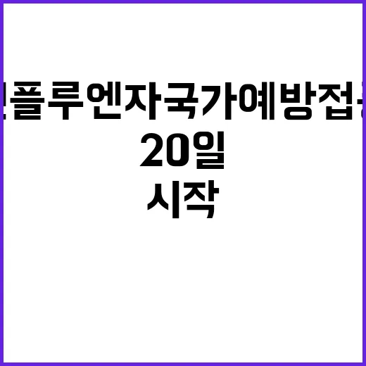 인플루엔자 국가예방…