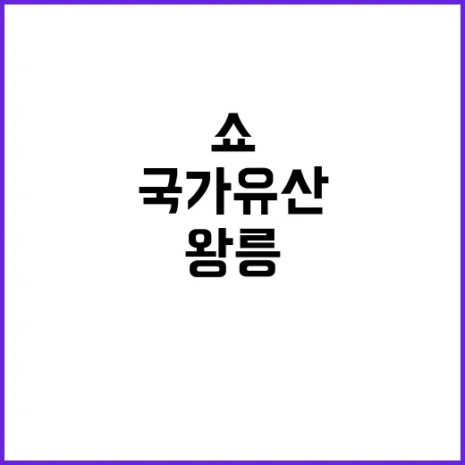 왕릉 드론 라이트쇼…