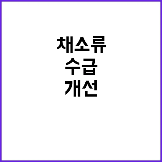 채소류 수급상황 9월 말부터 개선 기대!