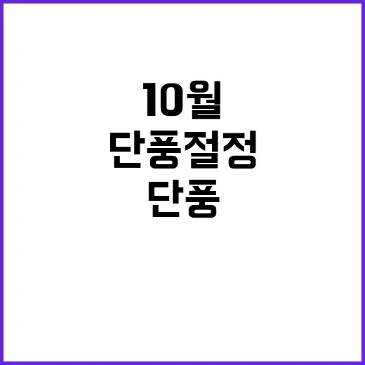 단풍 절정 10월 말 최고의 아름다움이 온다!