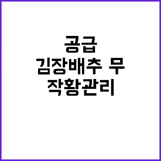 김장 배추·무 안정적 공급을 위한 작황 관리!