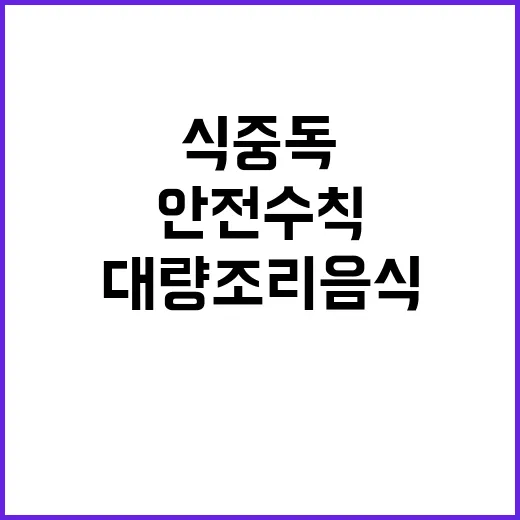 식중독 예방책 대량…