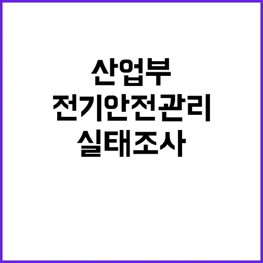 전기안전관리 산업부 700곳 실태조사 발표!