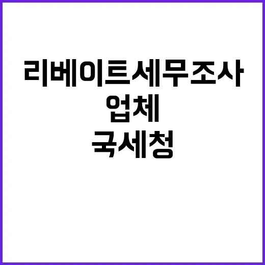 국세청 47개 업체 리베이트 세무조사 진행 소식!