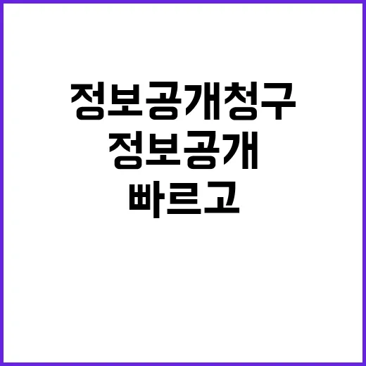 정보공개 청구 이제 빠르고 간편해진다!