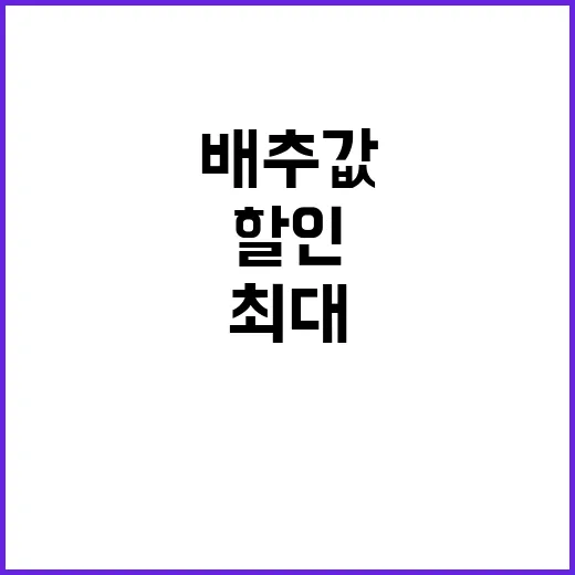 배추값 폭락 최대 40% 할인으로 소비자 지원!