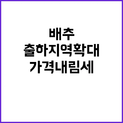 배추 출하 지역 확…