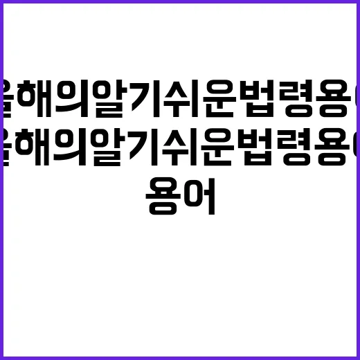 ‘올해의 알기 쉬운…