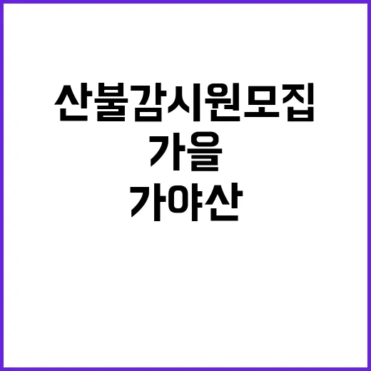 [가야산] 가야산국립공원사무소 한시인력(가을철 산불감시원) 채용 공고