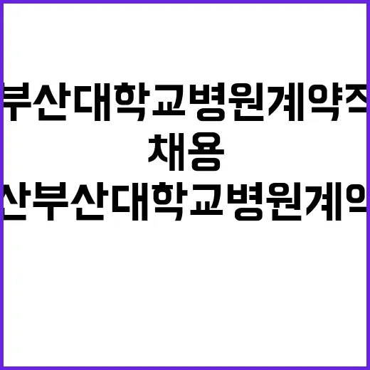 양산부산대학교병원 계약직의사 공개채용(10월) 모집 공고