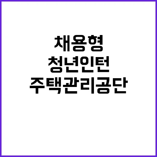 채용형인턴(정보운영) 채용공고(주택관리공단 본사)