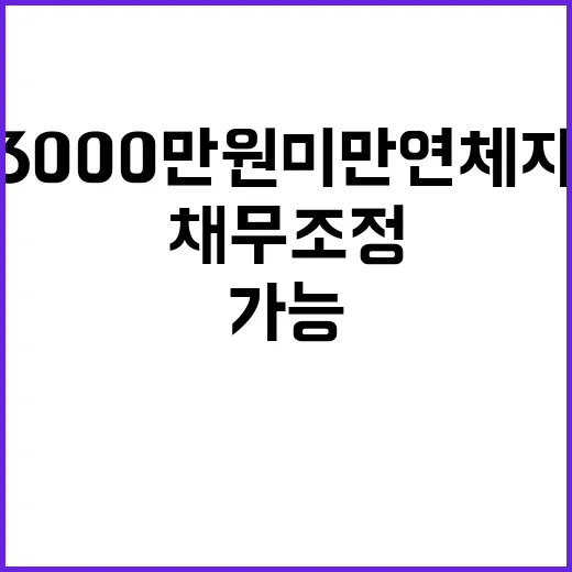 채무조정 내일부터 3000만 원 미만 연체자 가능!