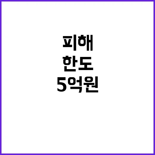 이커머스 피해업체 …