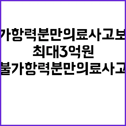 불가항력 분만 의료…