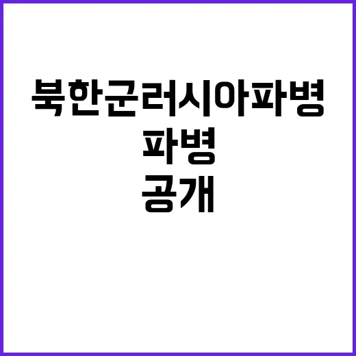 북한군 러시아 파병 한미 안보협의회 결과 공개!