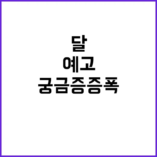 ISA 개선안 다음…