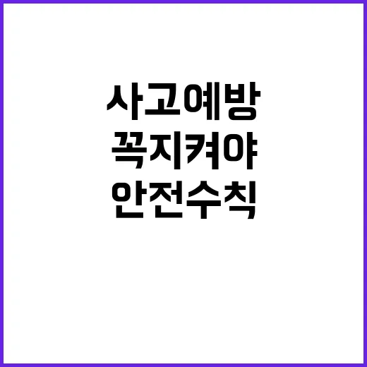 사고 예방 낚시 시…