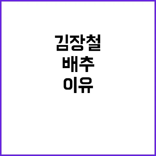 배추·무 수급 김장…