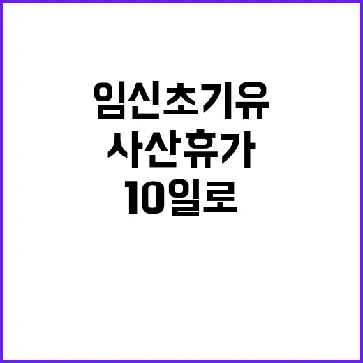 임신초기 유·사산휴…