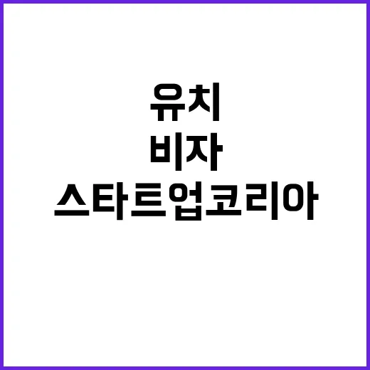 ‘스타트업 코리아’…