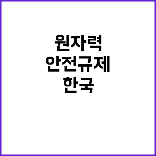 안전규제 혁신 한국 원자력 국제 기준에 도전!