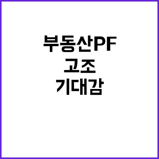 부동산 PF 안정화…