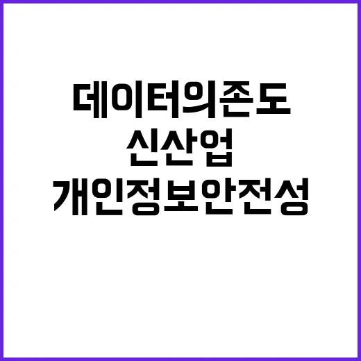 데이터 의존도 신산업 개인정보 안전성 높이기!