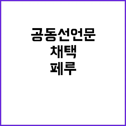 회담 한페루 ‘공동…