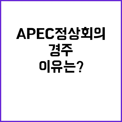 APEC 정상회의 …