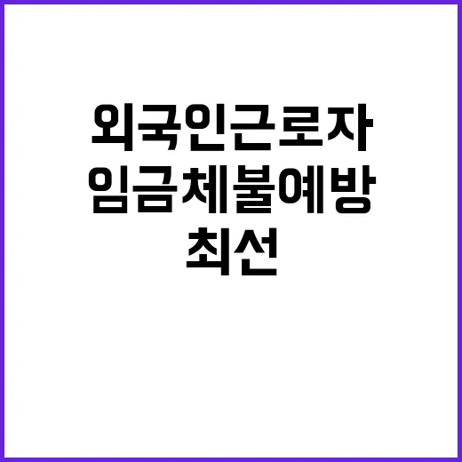 임금체불 예방 외국…