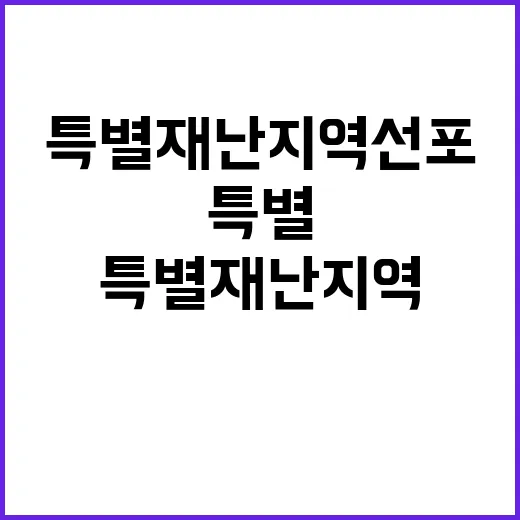 특별재난지역 선포 …